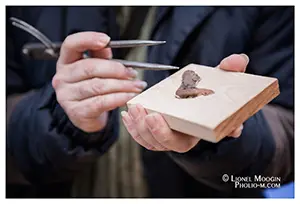 Ebeniste seguie3 credit Lionel Moogin