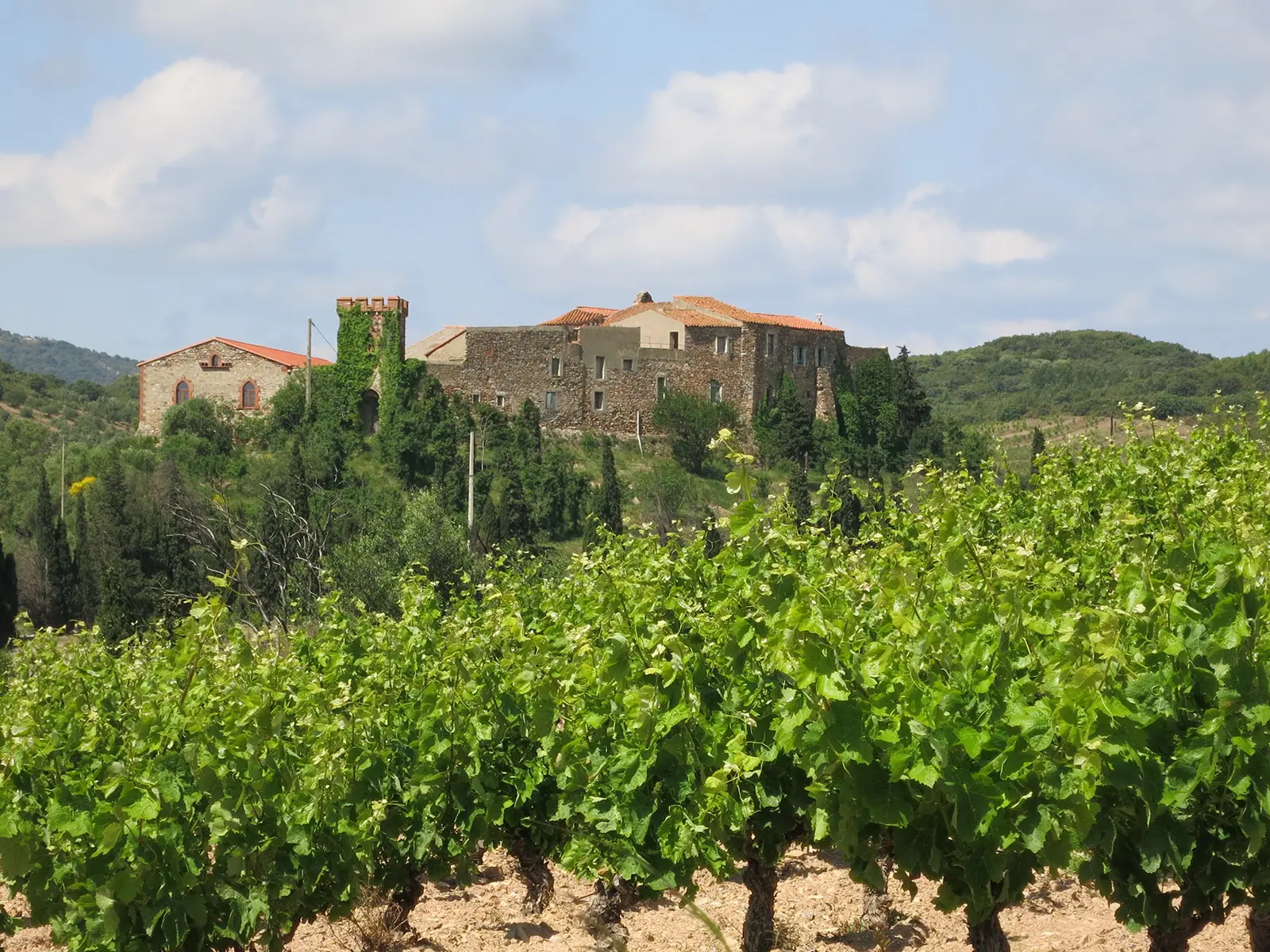 N°9_T©Commune de Calce Le mas de Les Founts