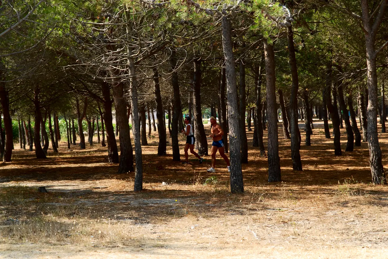 PORT BARCARES PINEDE