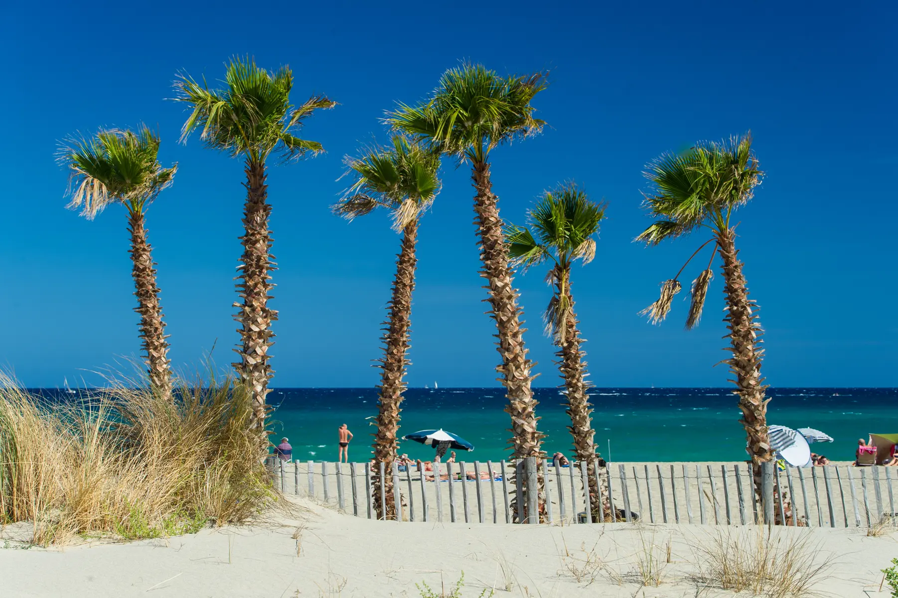 Plage Maillol - Saint-Cyprien (1)
