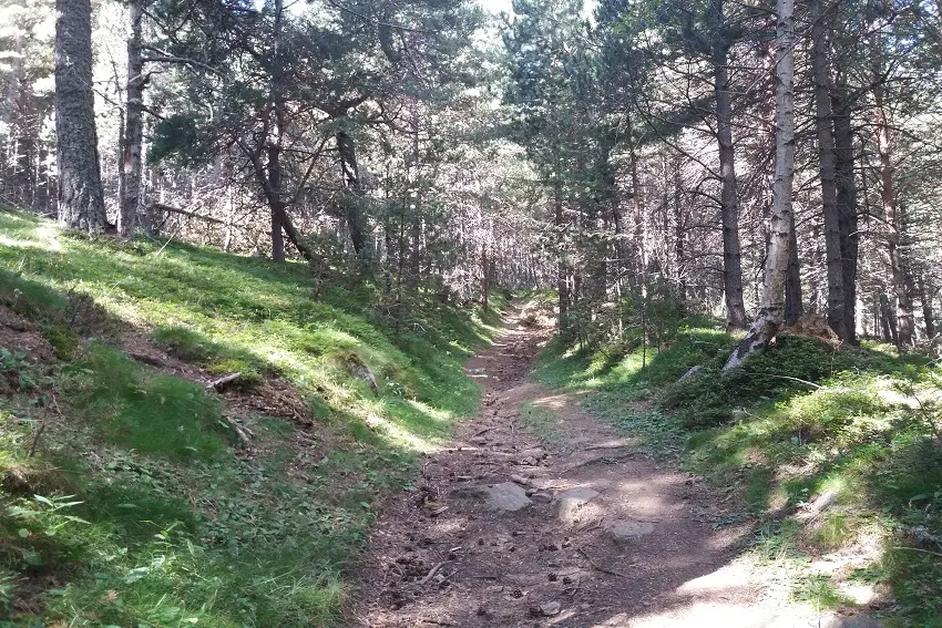 Le long de la route des canons_1