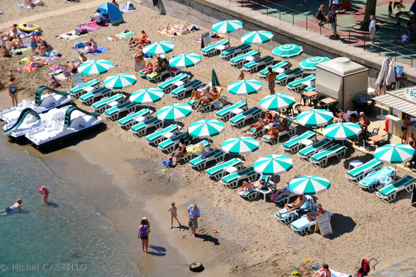 collioure port d avall