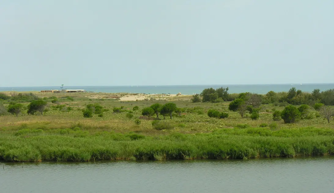 TORREILLES LOI PLAGE SUD