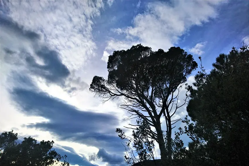 Vue sur le Pi del Rei_1