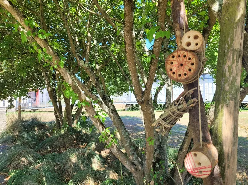 Atelier Un hôtel pour les insectes 3-6 ans - Ile MoulinSart de Fillé_1