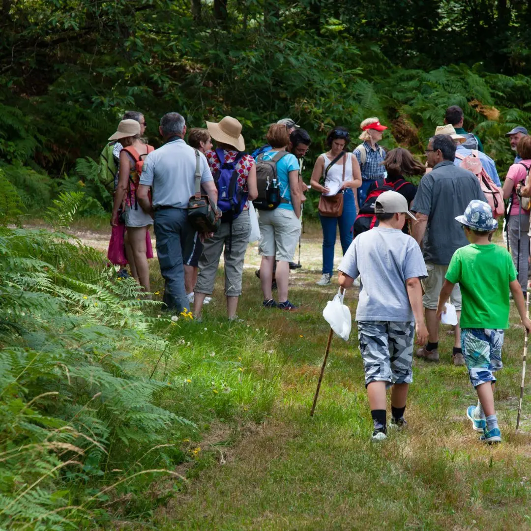 Balade en forêt et découverte de la gestion forestière_1