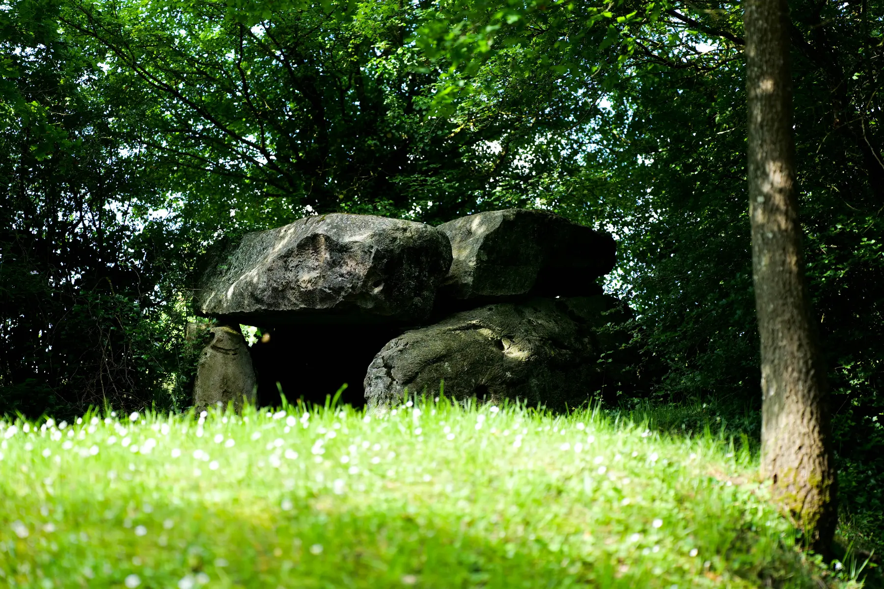 P1037671