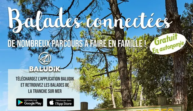 paysage