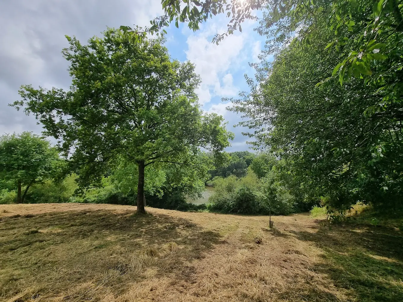 Motte castrale_st jean de la motte