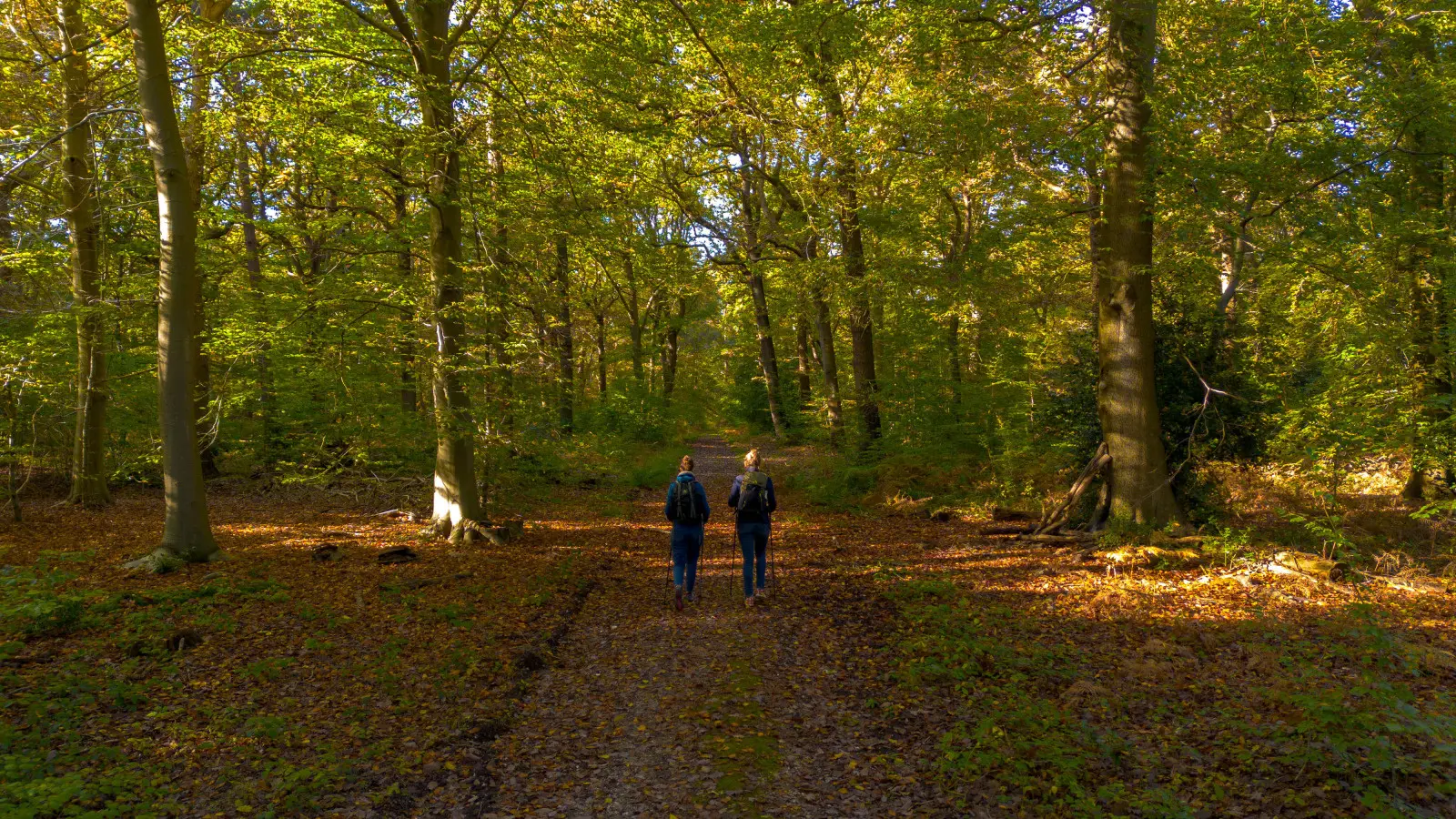 2024-10-23 - Reportage rando Foret Automne_V.DEBELS-148