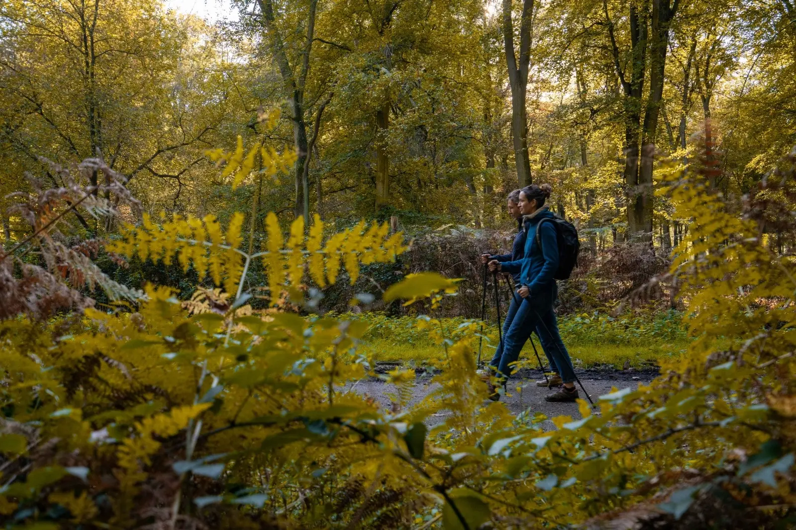 2024-10-23 - Reportage rando Foret Automne_V.DEBELS-162