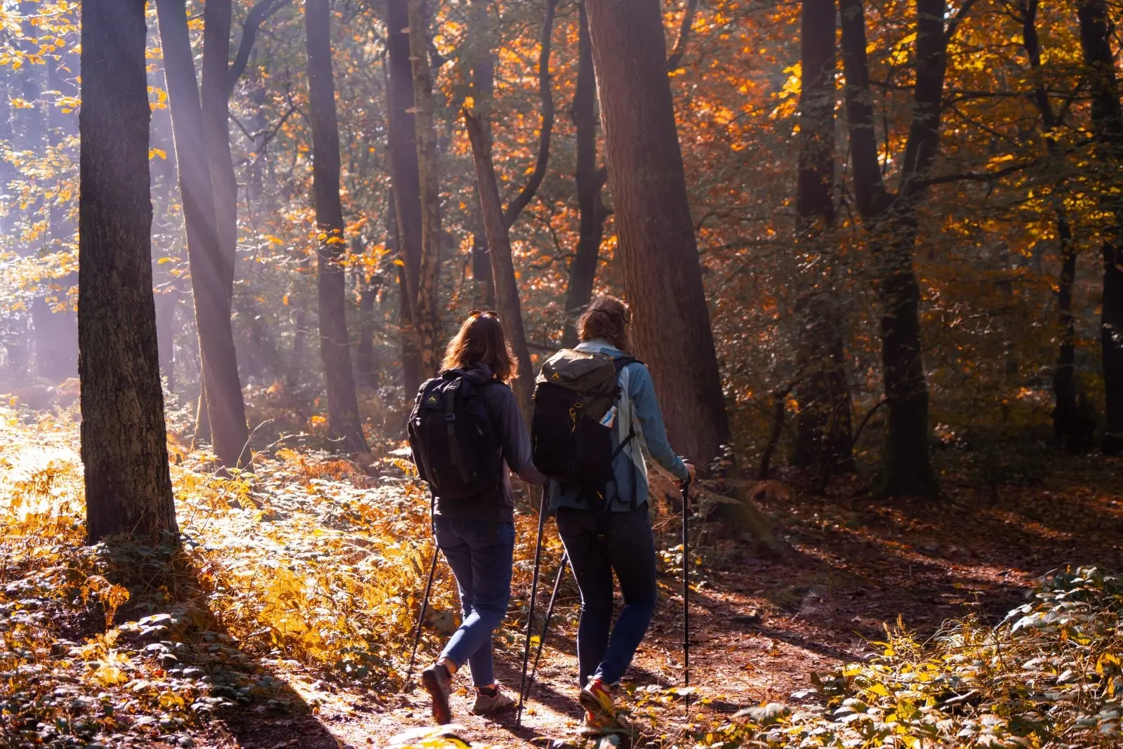 2024-10-23 - Reportage rando Foret Automne_V.DEBELS-43