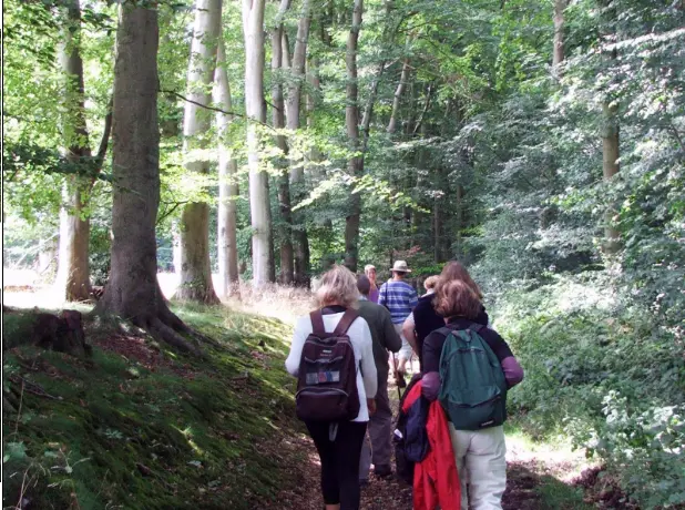 Randonnée sur le Plateau de Caux