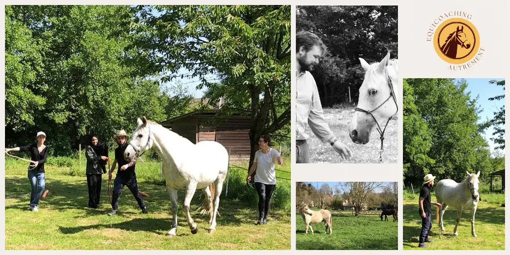 Equicoaching autrement