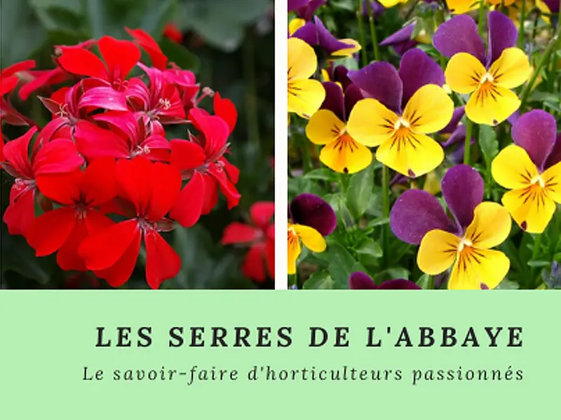 Les-Serres-de-l'Abbaye-800x600-1