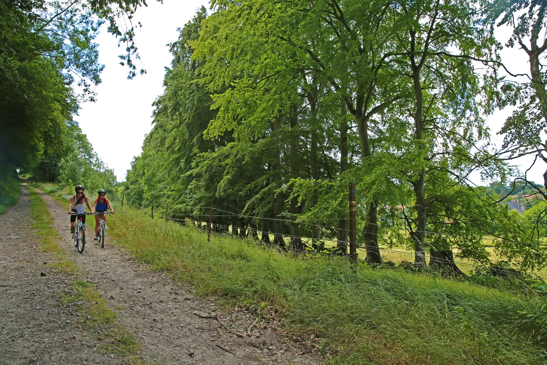Terroir de Caux© SMA76 -A.BEAUVOIS (24)