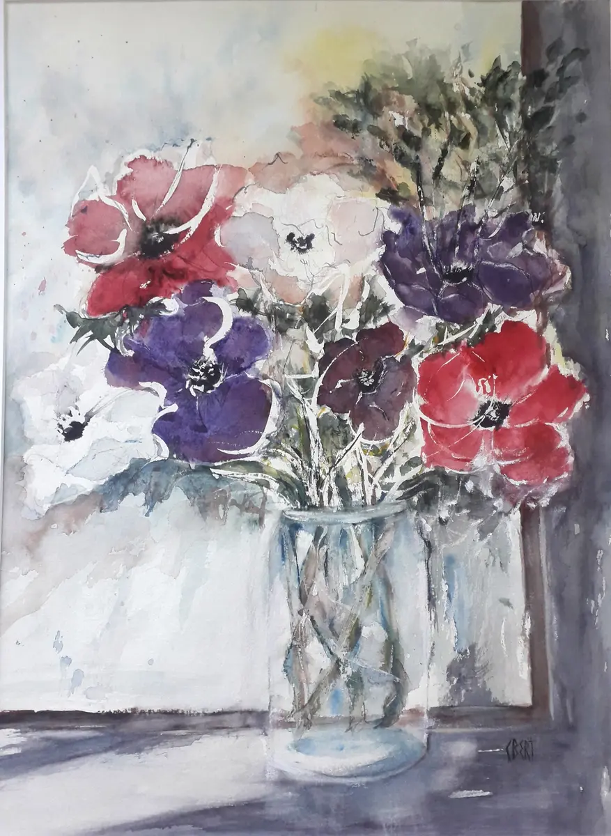 476120596_1162097179250439_1773546496609048290_n