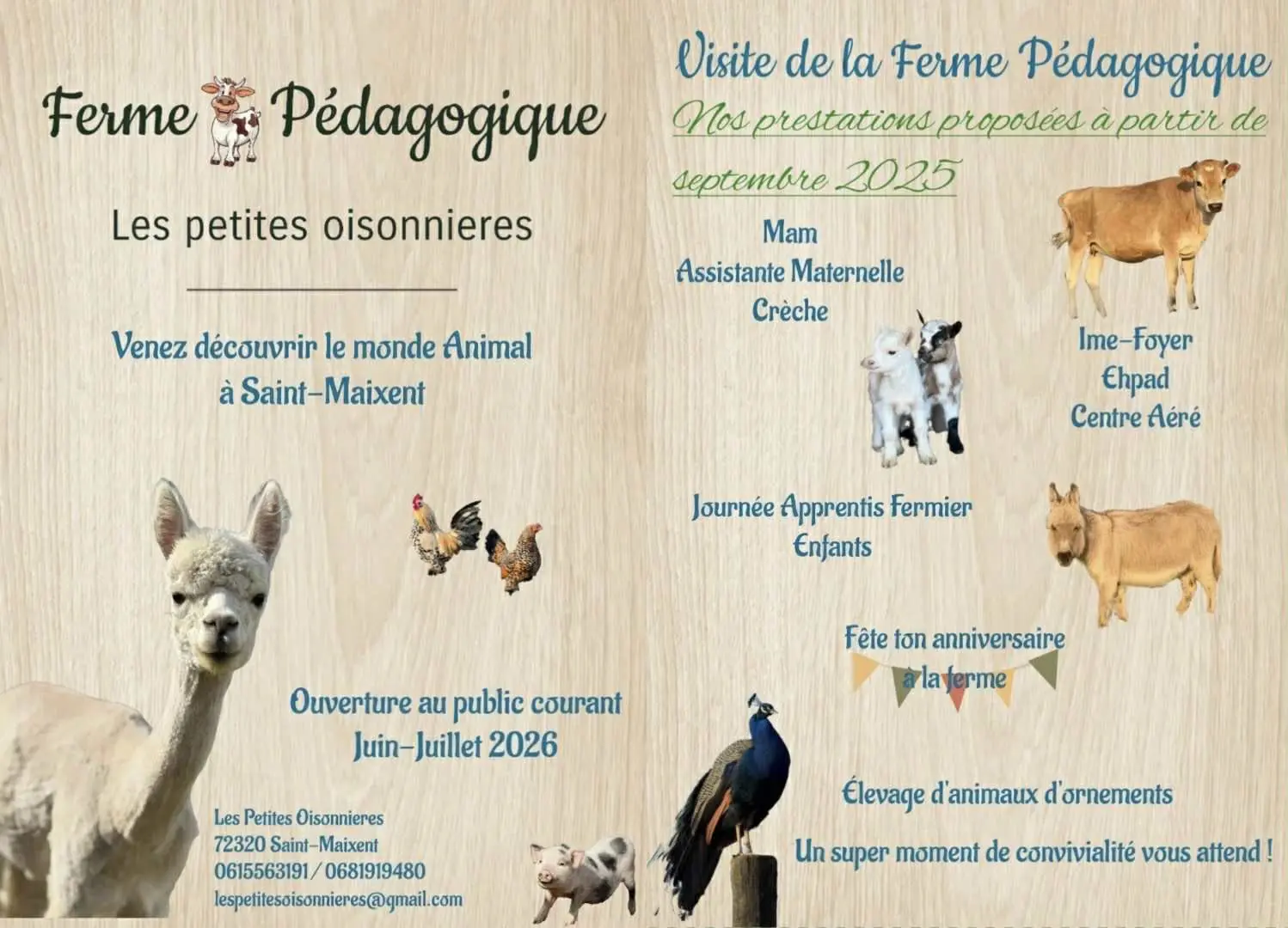 571176768_1132930458963789_5103565720021333922_n