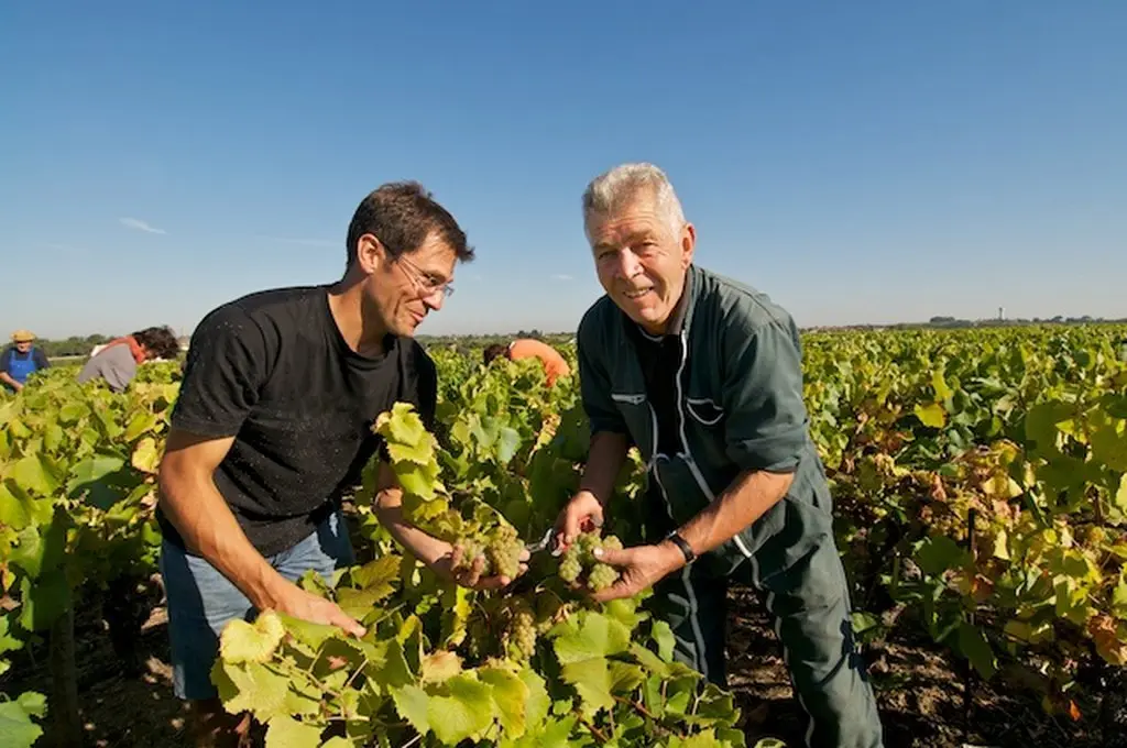 2014GT-domainedelafevrie-maisdonsursevre-44-DEG-1