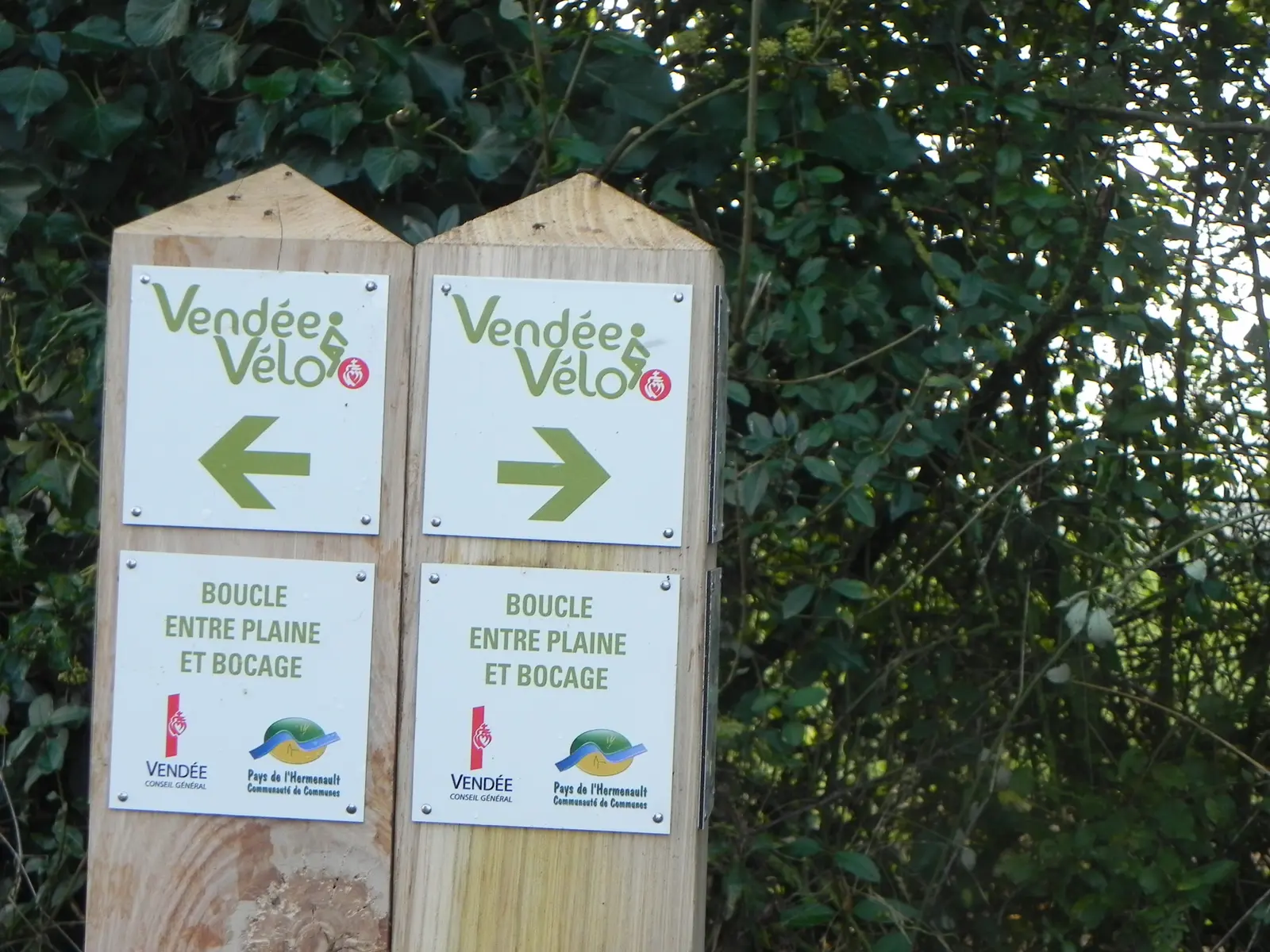 vélo-entre-plaine-et-bocage