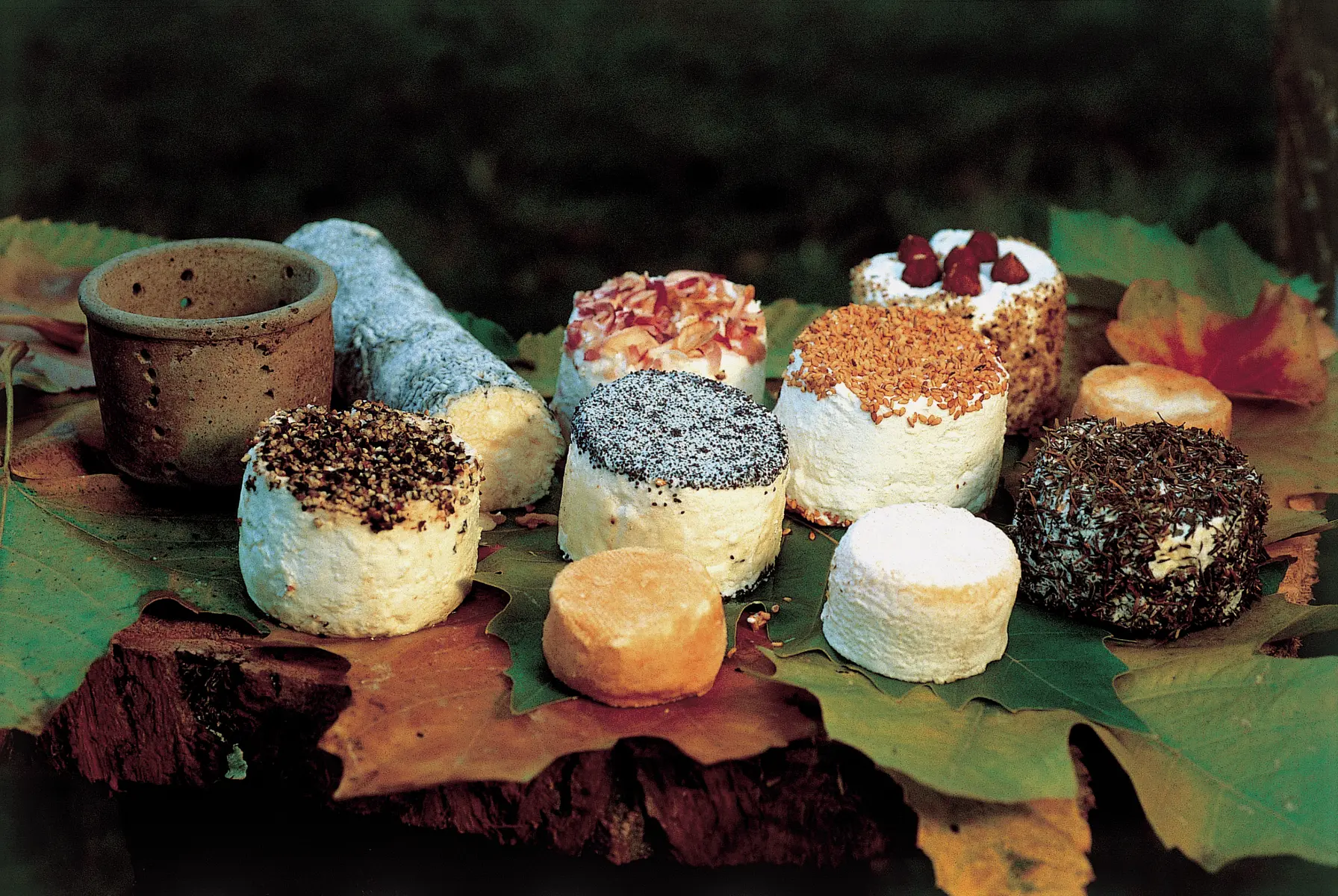 DEG72-fromages-chèvre