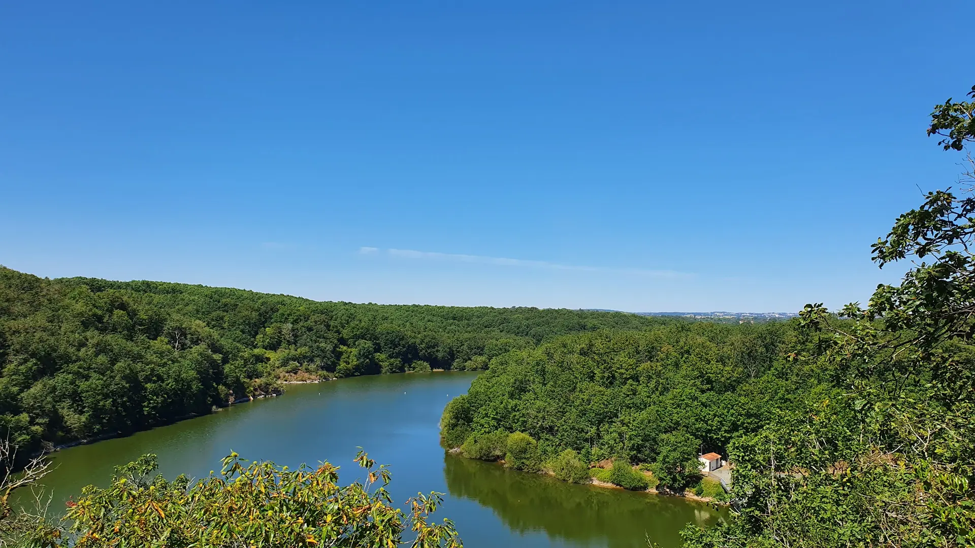 Forêt de Mervent-Vouvant