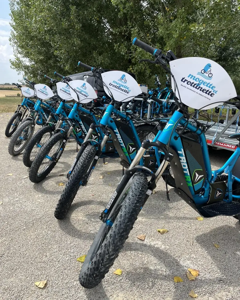 Mogette et Trottinette - Marais Poitevin