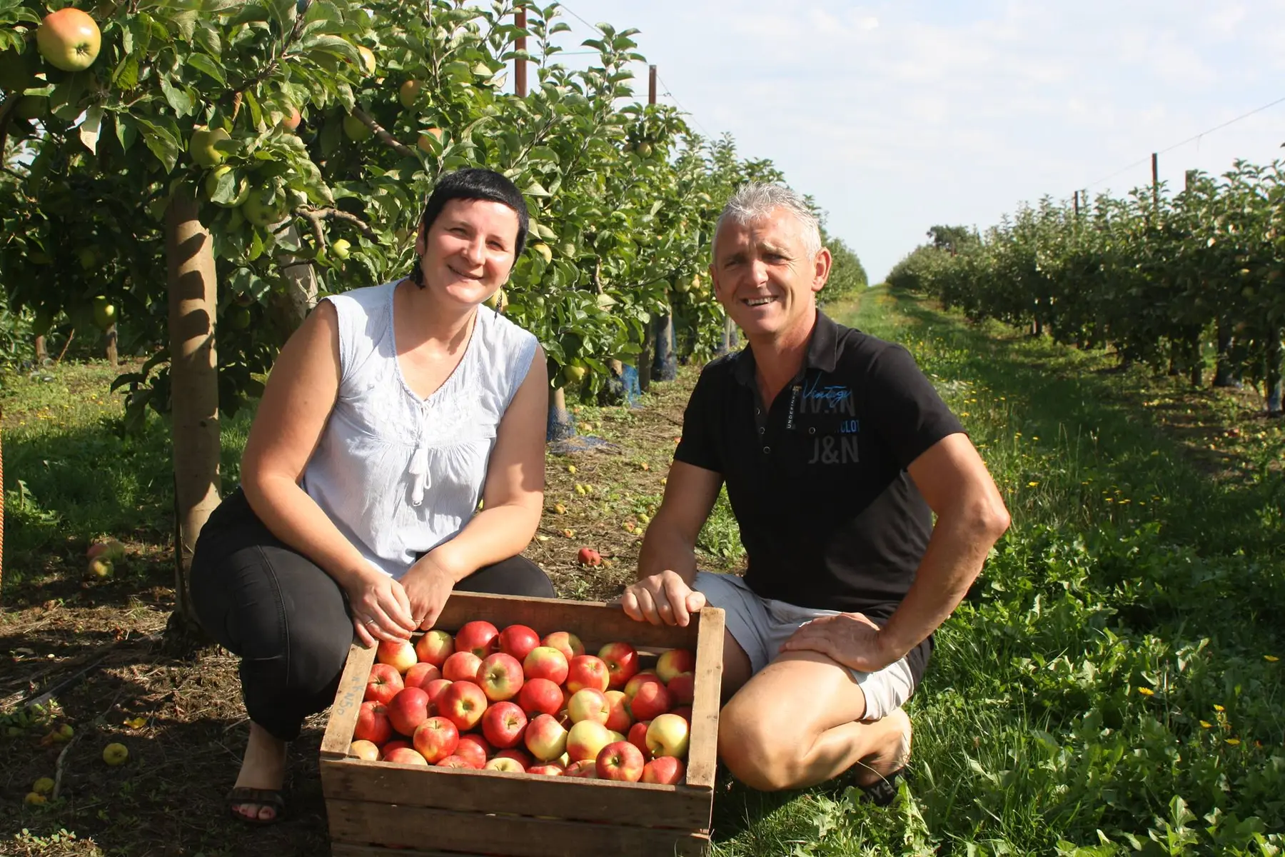 Pommes Pasquier - Bazoges en Pareds - 85