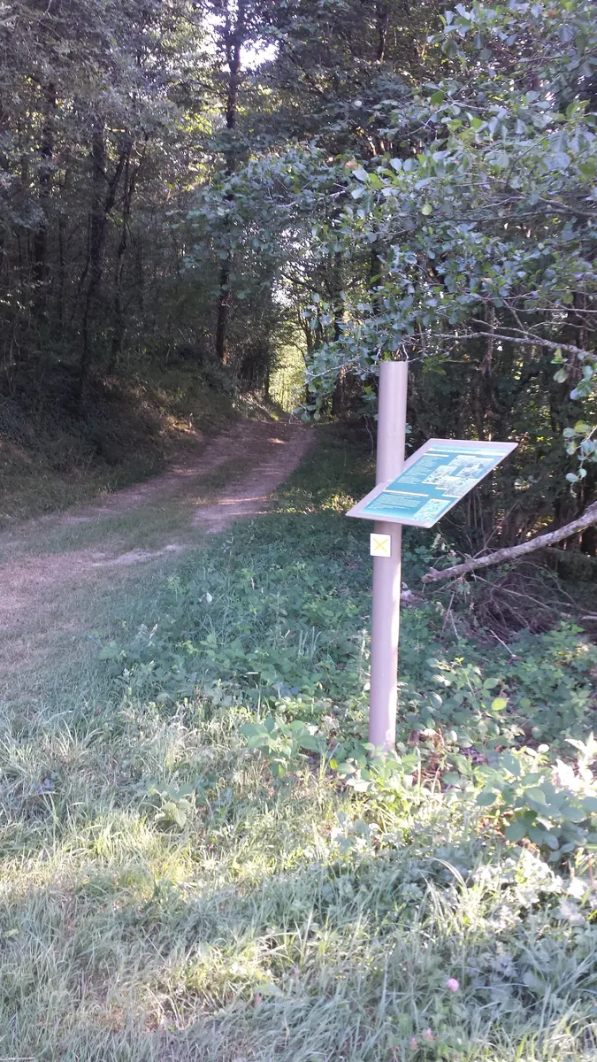 Sentier des Dortières - Loge Fougereuse - 85