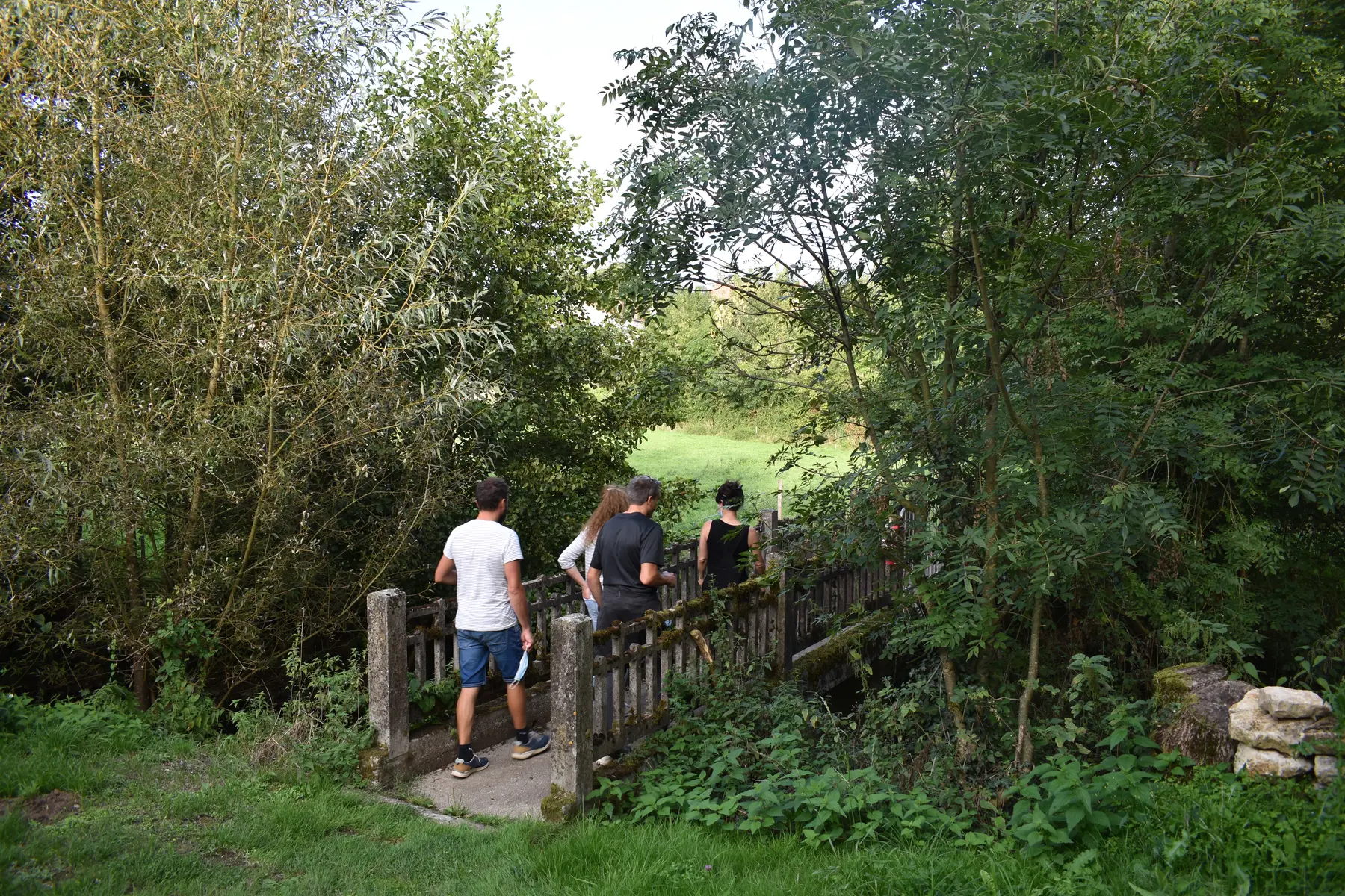 Sentier des Claires Fontaines - St Hilaire de Voust - 85