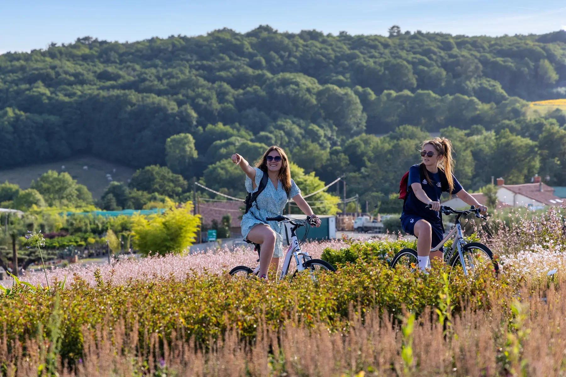 Vélo dans le bocage