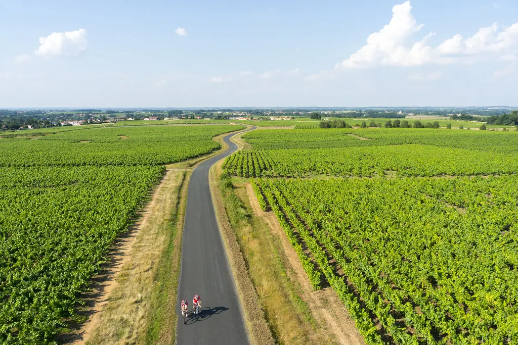 boucle-le-voyage-dans-le-vignoble-levignoblenantes-tourisme