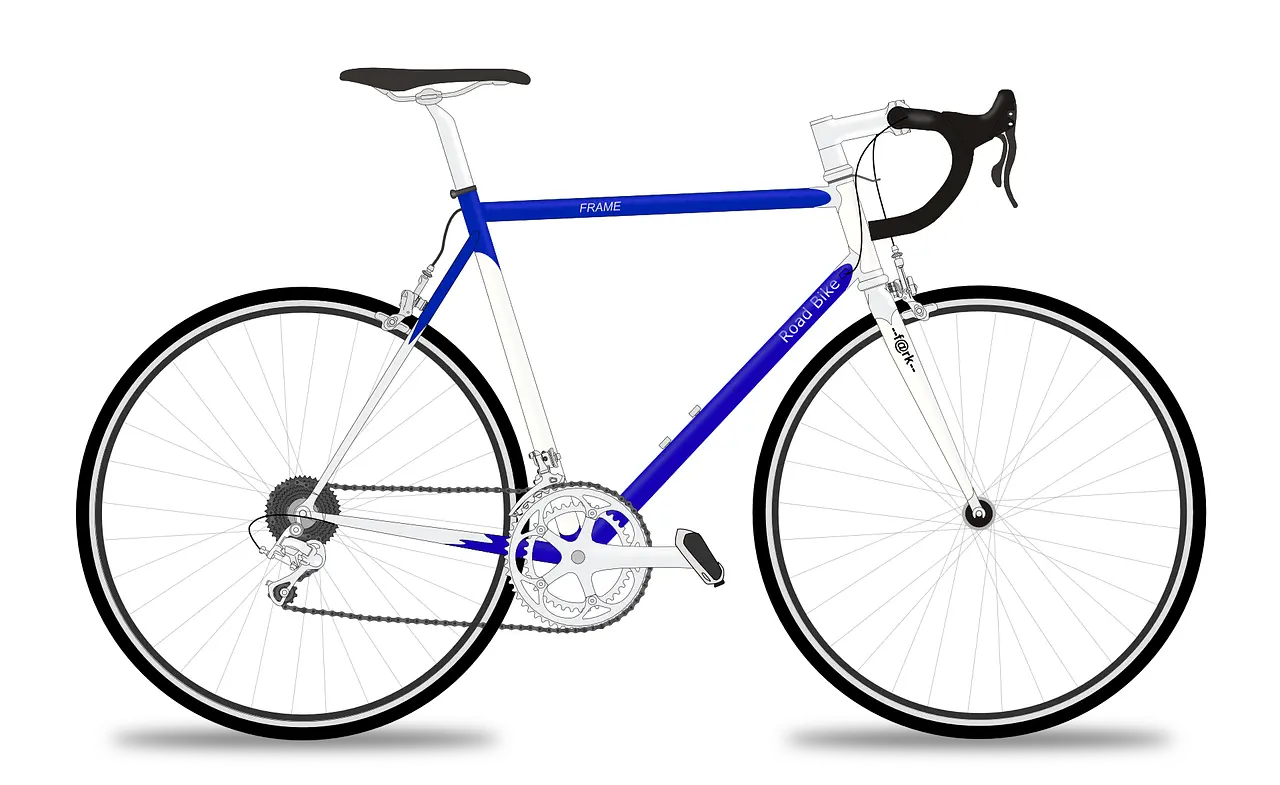 La Grenouille bleue de Damvix location de vélo