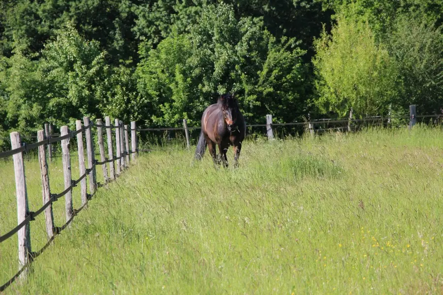 sevenpassion-c560728dd53bec65b6b9a7b48ebe65b2