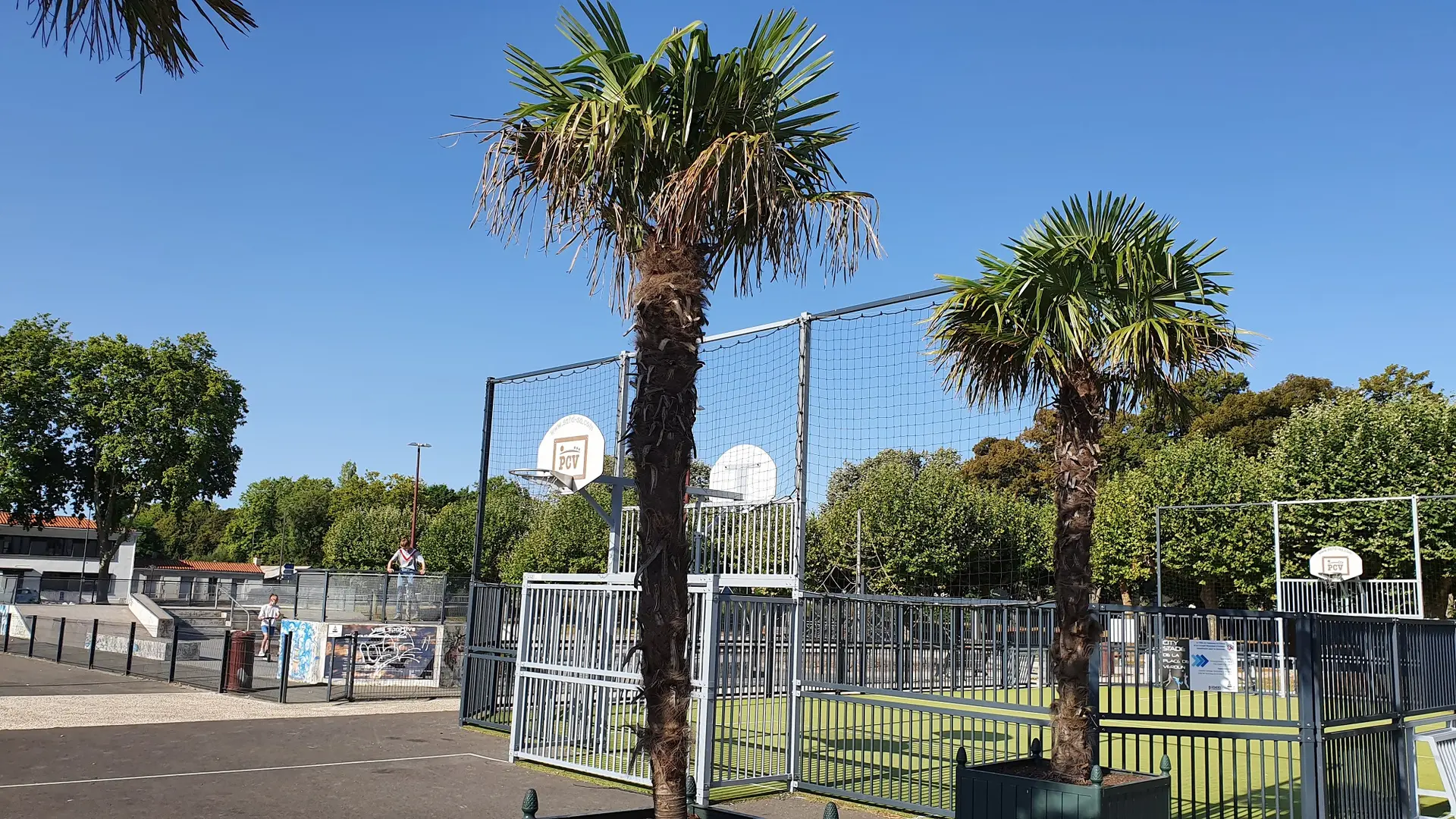 skate-park-city-stade-fontenay-le-comte-85200-1