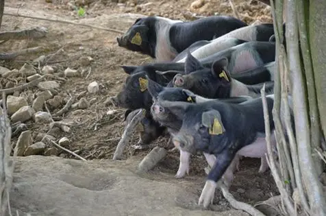 GAEC Les Réserves_1