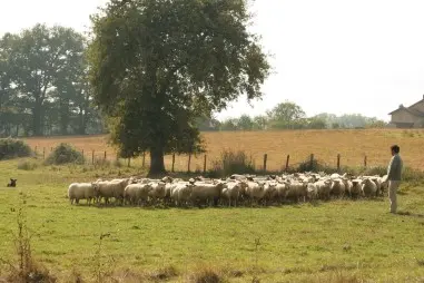 La Ferme des Palennes_1