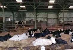 La ferme du coudert_1