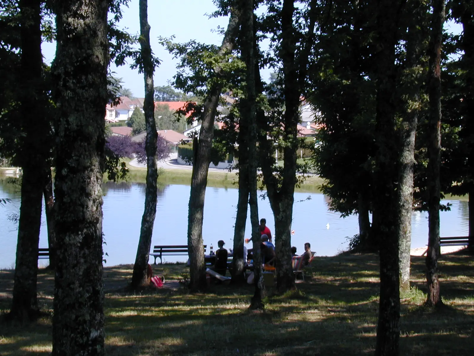 Balade du côté de la Vienne (cyclo 20 km)_1