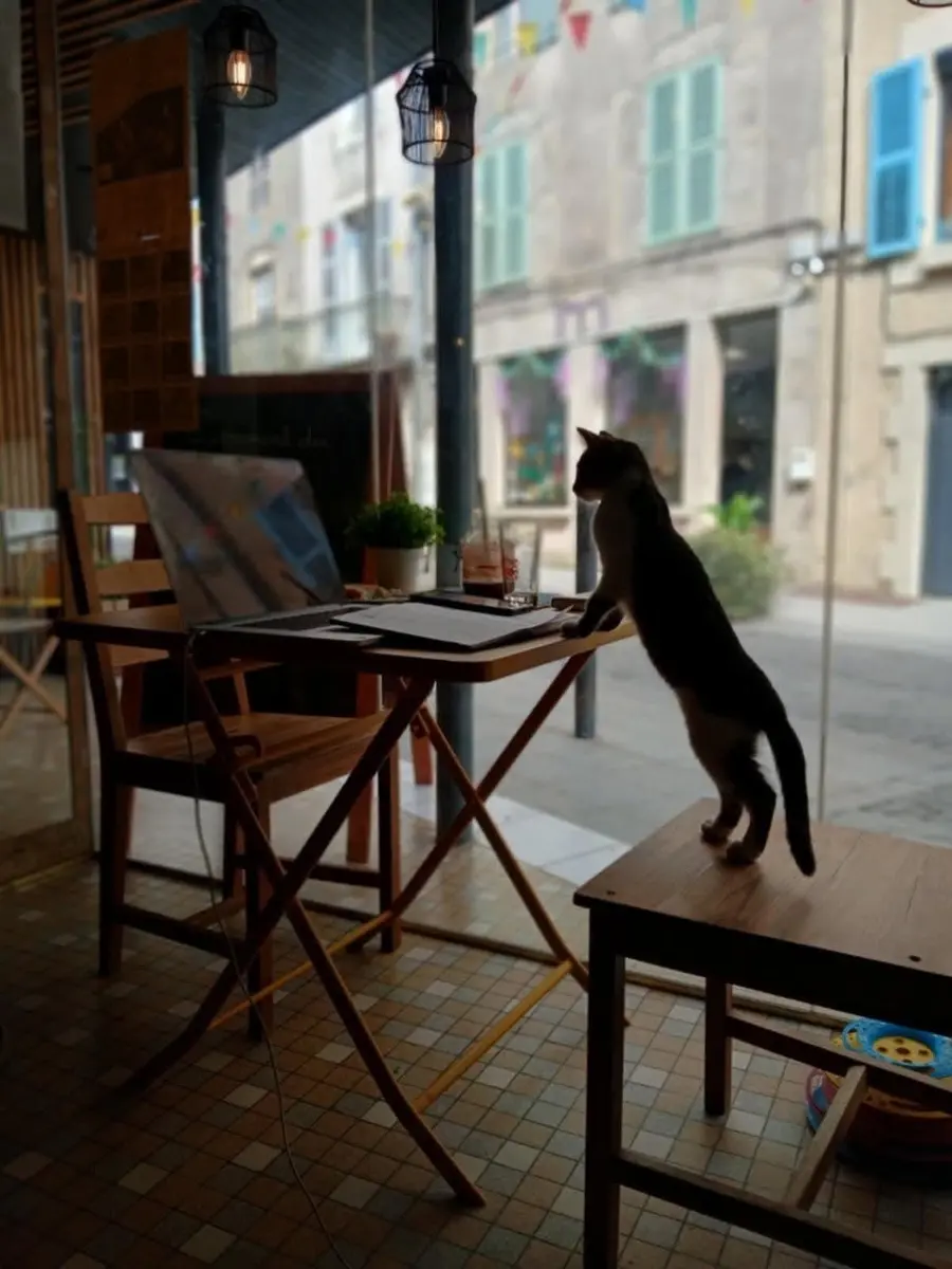 Tchica Café et ressourcerie Bellac