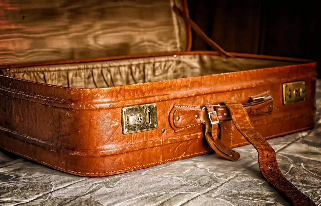 tama66-suitcase-3297015_1280