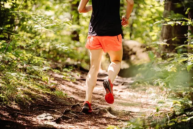 trail-g8a071e52d_640