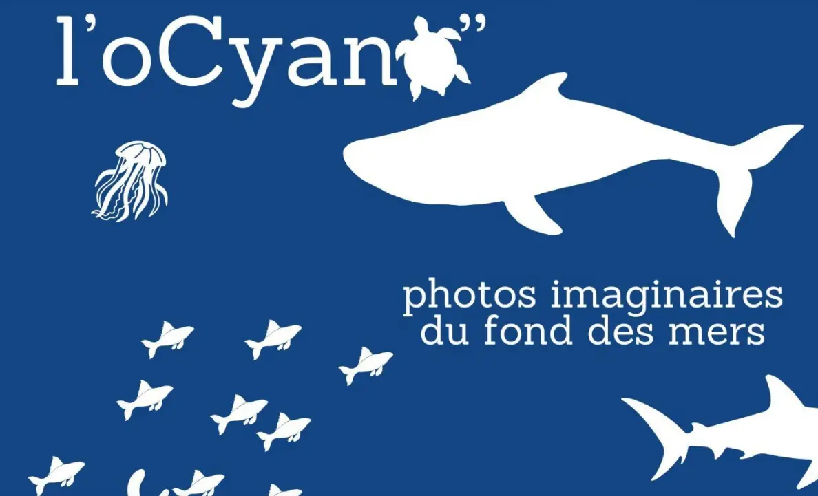 l'oCyano