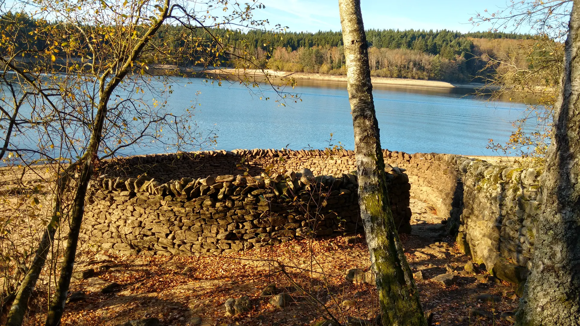 LAC