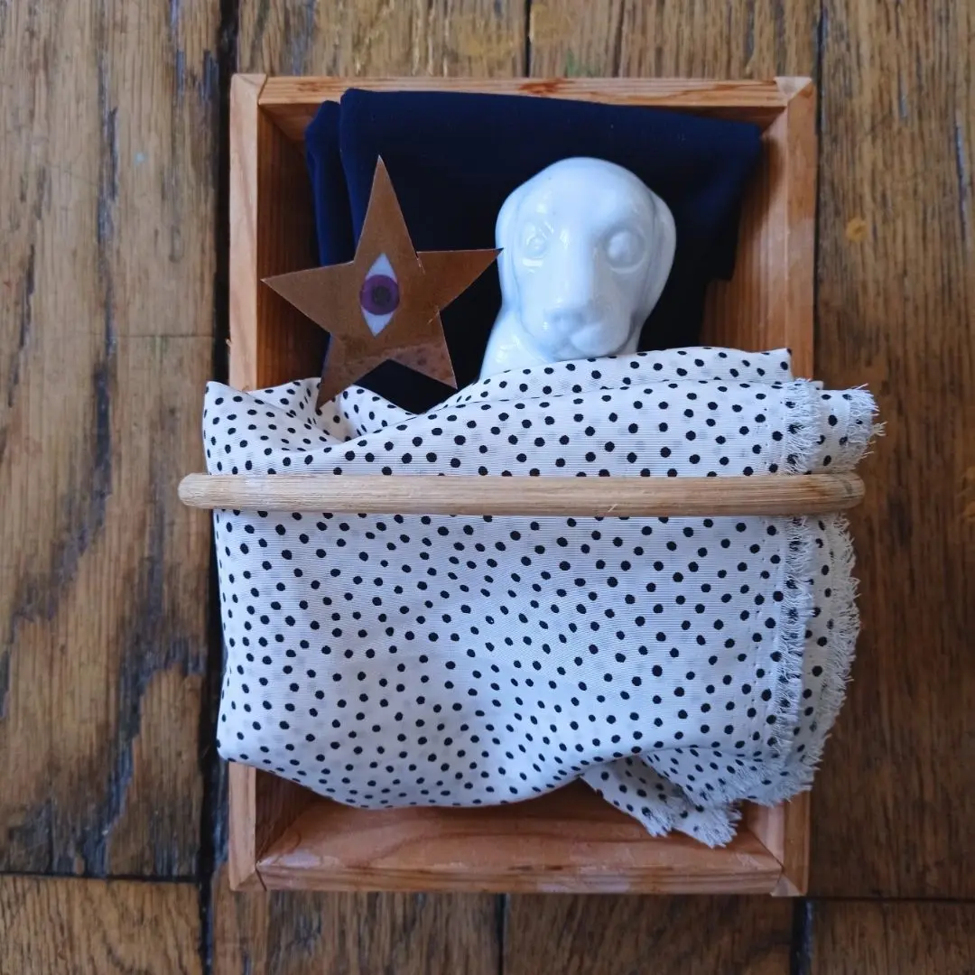 Les rêves du chien Porcelaine