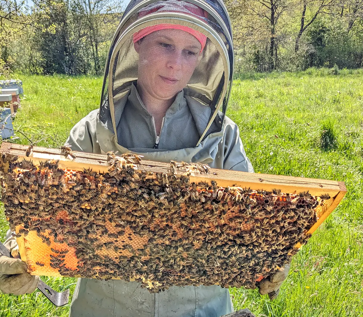 Melodie des abeilles