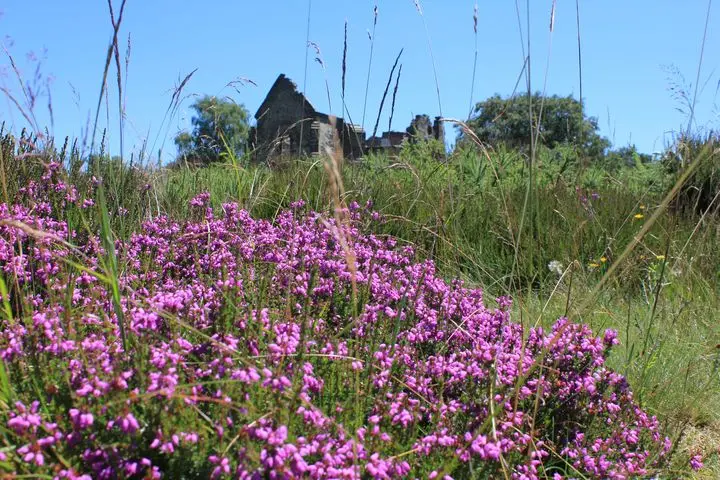 Mont Gargan