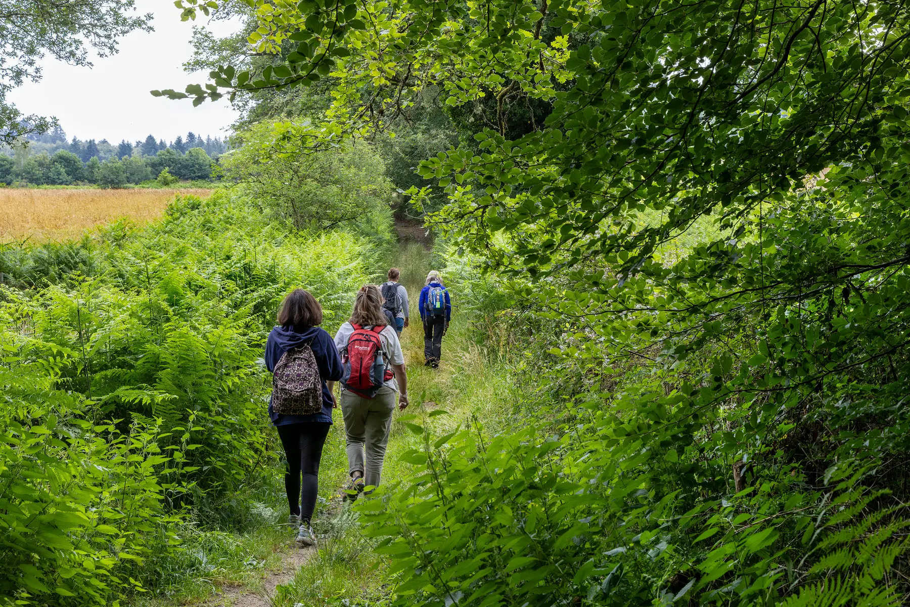 RandonnC3A9e-Caminata-LIMOUSINnouveauxhorizons