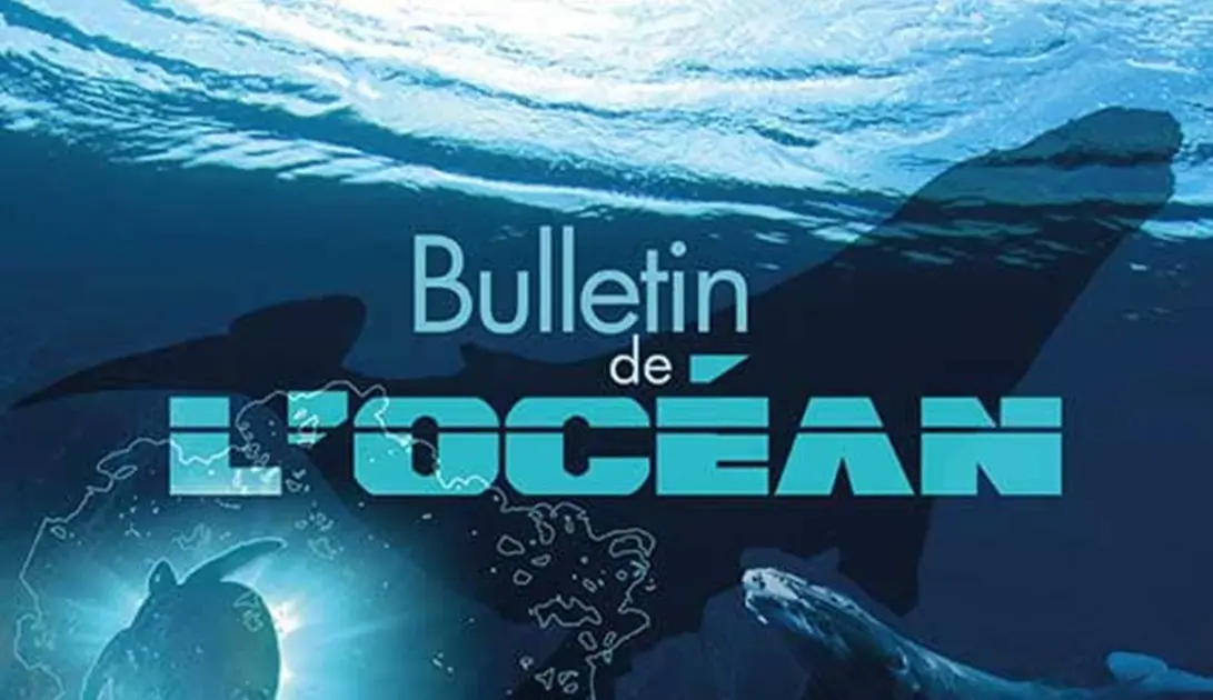 Visuel_expo_Bulletindelocean