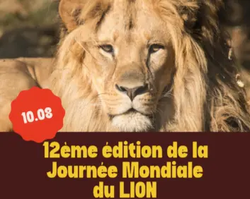 journée du lion